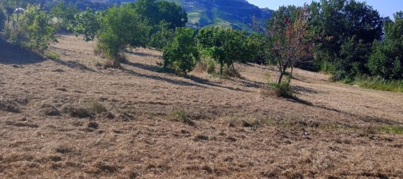 قطعة أرض في Castrolibero, Italy 6500متر مربع رقم 254646 17