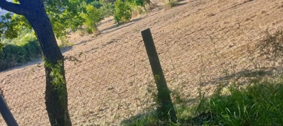 قطعة أرض في Castrolibero, Italy 6500متر مربع رقم 254646 13