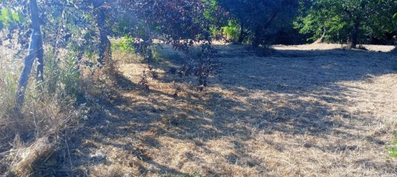 قطعة أرض في Castrolibero, Italy 6500متر مربع رقم 254646 27