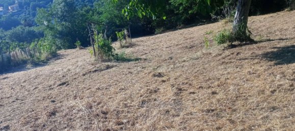 قطعة أرض في Castrolibero, Italy 6500متر مربع رقم 254646 11