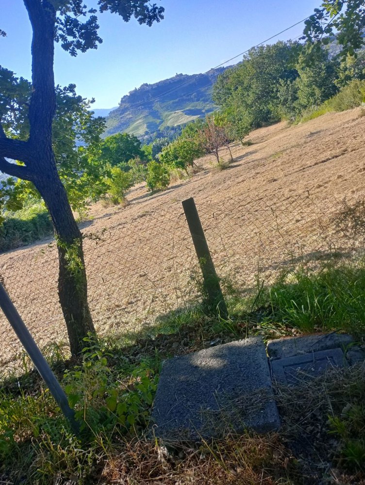  قطعة أرض في Castrolibero, Italy 6500متر مربع رقم 254646