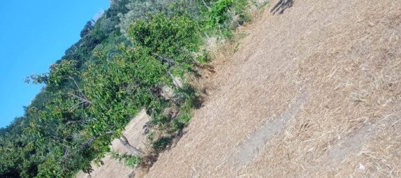 قطعة أرض في Castrolibero, Italy 6500متر مربع رقم 254646 22