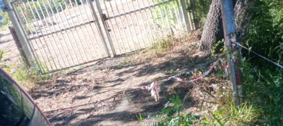 قطعة أرض في Castrolibero, Italy 6500متر مربع رقم 254646 12