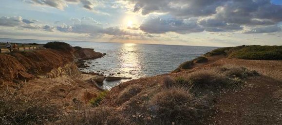 4 bedrooms Villa in Pegeia, Cyprus No. 20372 4