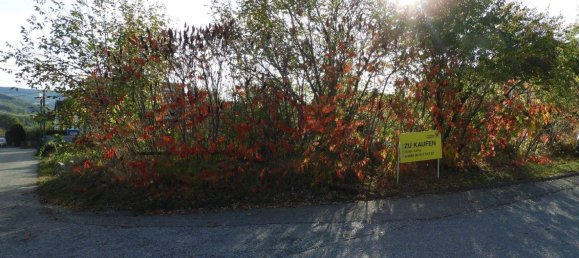 Земельный участок в Нойленгбах, Австрия № 247545 2