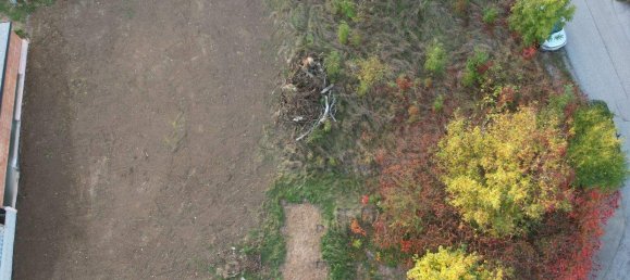 Земельный участок в Нойленгбах, Австрия № 247545 3