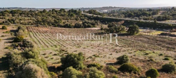 Terrain à Lagos, Portugal No. 130366 6