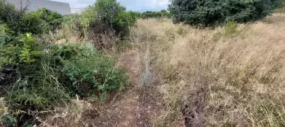  Land in Beniarbeig, Spain No. 279192 9