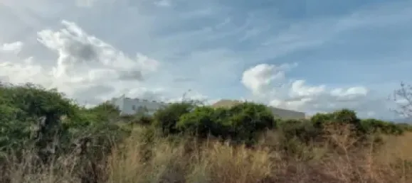  Land in Beniarbeig, Spain No. 279192 19