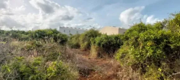  Land in Beniarbeig, Spain No. 279192 17