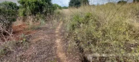  Land in Beniarbeig, Spain No. 279192 10