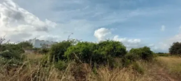  Land in Beniarbeig, Spain No. 279192 20