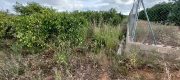  Land in Beniarbeig, Spain No. 279192 24