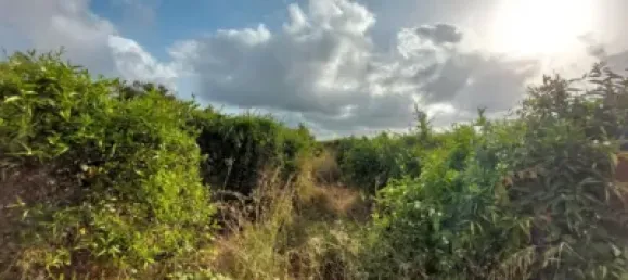  Land in Beniarbeig, Spain No. 279192 12