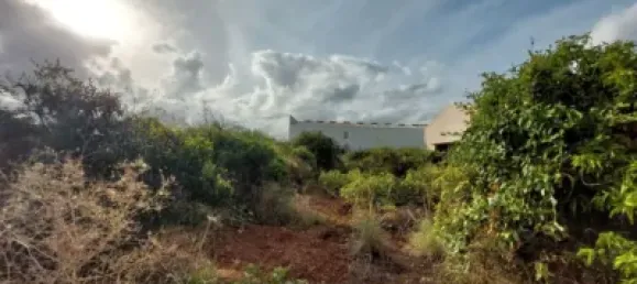  Land in Beniarbeig, Spain No. 279192 16