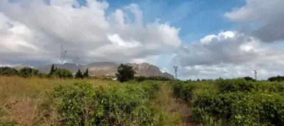  Land in Beniarbeig, Spain No. 279192 26