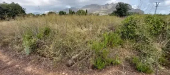  Land in Beniarbeig, Spain No. 279192 11