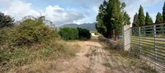  Land in Beniarbeig, Spain No. 279192 4