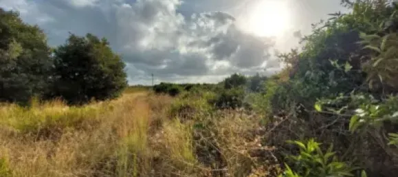  Land in Beniarbeig, Spain No. 279192 13