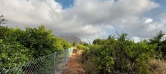  Land in Beniarbeig, Spain No. 279192 8