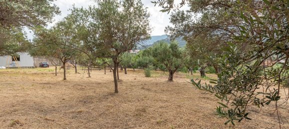 Casa T1 em Messina, Italy N.º 334879 10