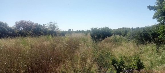 2 bedrooms House in Almoines, Spain No. 182274 9