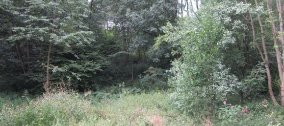 Terrain à Kassel, Germany No. 307527 3