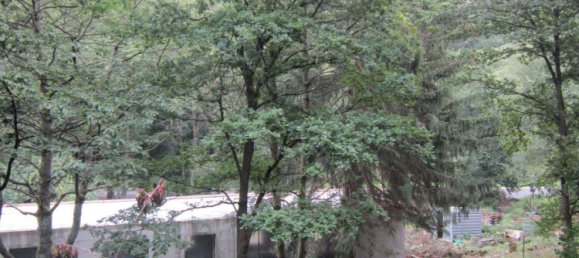 Terrain à Kassel, Germany No. 307527 2