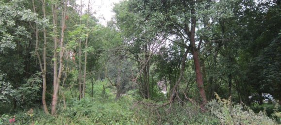 Terrain à Kassel, Germany No. 307527 4