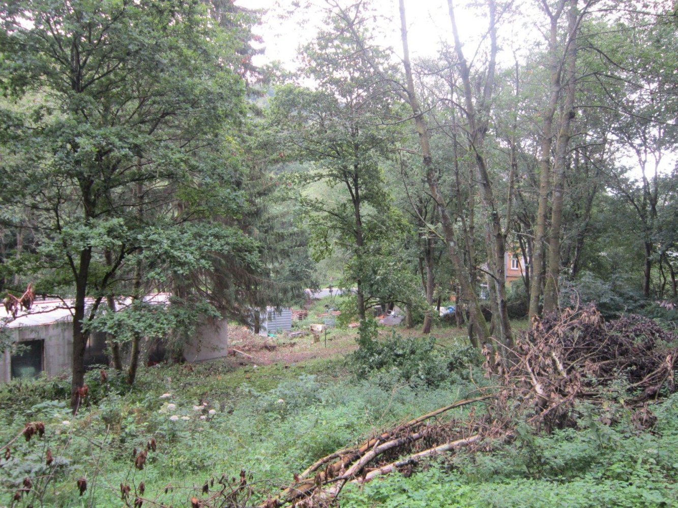 Terrain à Kassel, Germany No. 307527