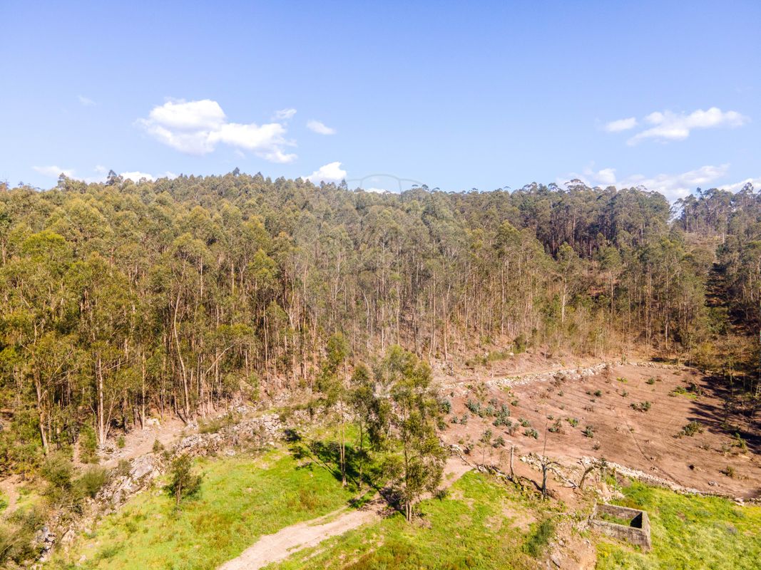 Terreno en Barcelos, Portugal No. 10151
