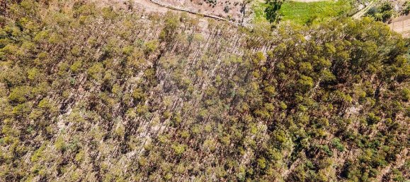 Terreno en Barcelos, Portugal No. 10151 17