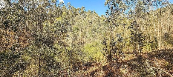 Terreno en Barcelos, Portugal No. 10151 10