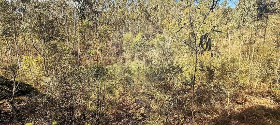 Terreno en Barcelos, Portugal No. 10151 9