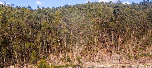 Terreno en Barcelos, Portugal No. 10151 14