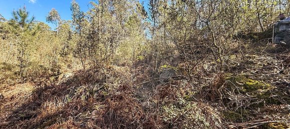 Terreno en Barcelos, Portugal No. 10151 8