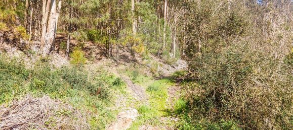 Terreno en Barcelos, Portugal No. 10151 6