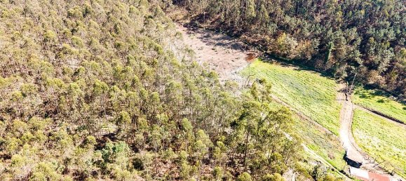 Terreno en Barcelos, Portugal No. 10151 4