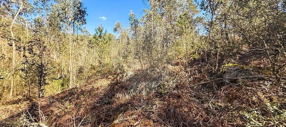 Terreno en Barcelos, Portugal No. 10151 7