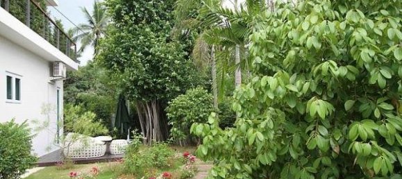 5 bedrooms Cafe / restaurant in Pattaya, Thailand No. 41 6