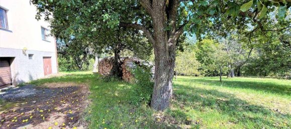 8-salle Maison à Wiesmath, Austria No. 254237 3