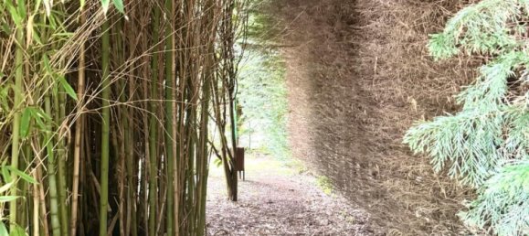 12 غرف نوم منزل في Cantabria, Spain رقم 181950 11