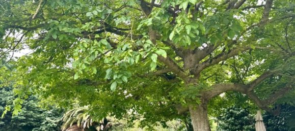 12 غرف نوم منزل في Cantabria, Spain رقم 181950 29