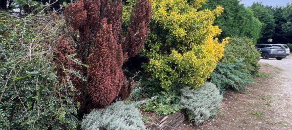 12 غرف نوم منزل في Cantabria, Spain رقم 181950 31