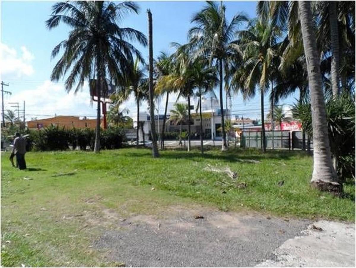  Land in Veracruz, Mexico No. 203265