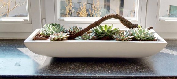 5-salle Appartement à Alsergrund, Austria No. 239416 14