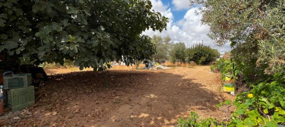 5 Schlafzimmer Haus in Pechao, Portugal, Nr. 102176 7