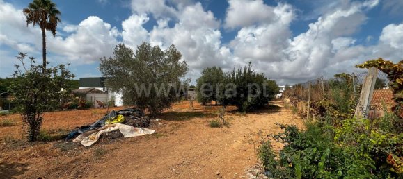 5 Schlafzimmer Haus in Pechao, Portugal, Nr. 102176 6