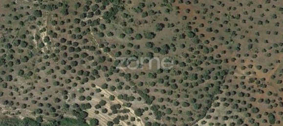 Grundstück in Moura, Portugal 3500m², Nr. 37466 3