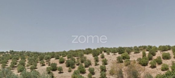 Grundstück in Moura, Portugal 3500m², Nr. 37466 4